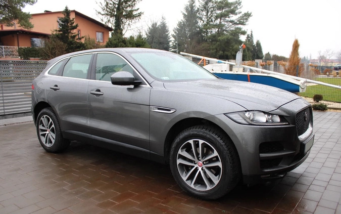 Jaguar F-Pace cena 80000 przebieg: 139000, rok produkcji 2017 z Łasin małe 596